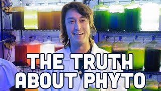 The Truth about Phytoplankton [upl. by Bellda]