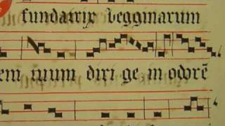 O fundatrix begginarum Gregorian Chant by Chant Group Psallentes [upl. by Aklam]