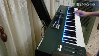 Rammstein  Haifisch only keyboard track with all samples and sounds [upl. by Haldane194]