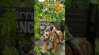 Zoo Song animal compilations  Elephant  Little Simple Songs nurseryrhymes kidssong elikids [upl. by Chung985]