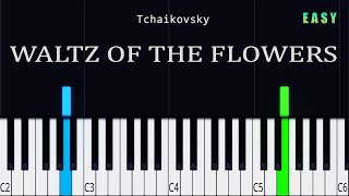 Waltz Of The Flowers  Tchaikovsky  EASY Piano Tutorial [upl. by Rainer]