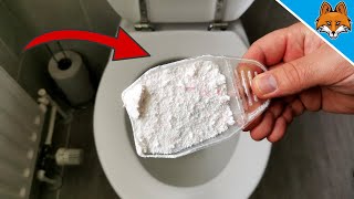 Dump WASHING POWDER into your Toilet and WATCH WHAT HAPPENS 💥 [upl. by Batruk7]