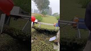 Fish pond duckweed feed collection process [upl. by Scheld86]