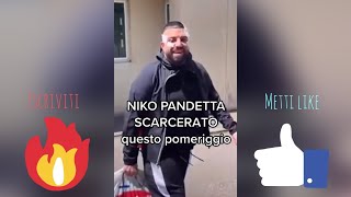 NIKO PANDETTA SCARCERATO QUESTO POMERIGGIO ECCO COSA È SUCCESSO NEL VIDEO VIRALE [upl. by Sanborne]