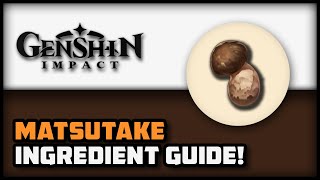 Ingredient Guide  Matsutake  Genshin Impact [upl. by Yraccaz]