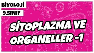 9 Sınıf Biyoloji  Sitoplazma ve Organeller 1 [upl. by Bashemath]