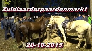 Zuidlaarderpaardenmarkt 20 10 2015 [upl. by Zetnod838]