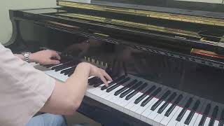 Performance VIvaldi  Winter 1st mov for piano solo [upl. by Mcclary]