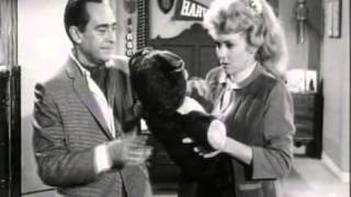 The Beverly Hillbillies  Season 1 Episode 11 1962  Elly Races Jethrine  Paul Henning [upl. by Lanod96]