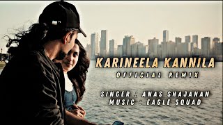 Karineela Kannil Official Remix By Eagle Squad [upl. by Ikkiv]