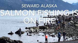 quotSeward Alaska Salmon Boiling Unbelievable Action limit in Minutes Combat Fishing to a new level [upl. by Yenroc607]