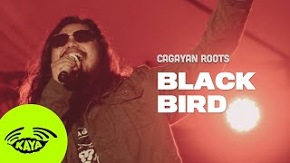 Cagayan Roots  quotBlackbirdquot by Fat Freddys Drop w Lyrics  Kaya Sesh [upl. by Dickie]