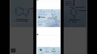 Shikimik Acid Pathwayshorts ytshorts futureofpharmacy biochemistryshort shortvideo bpharm [upl. by Nilo]