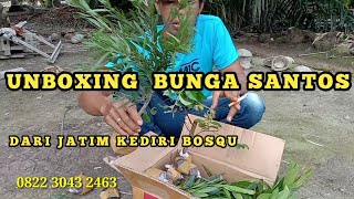 UNBOXING BUNGA PAKAN LEBAH [upl. by Jessamyn]