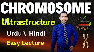 Ultrastructure of Chromosomes  Nucleosome  Histone Proteins  Shahzad Rasool Urdu lecture [upl. by Akemrej800]