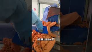 Почему Пепперони в Додо такая вкусная [upl. by Valenta]