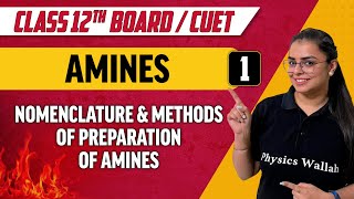 Amines 01  Nomenclature amp Methods of preparation of Amines  Class 12thCUET [upl. by Kutzer]