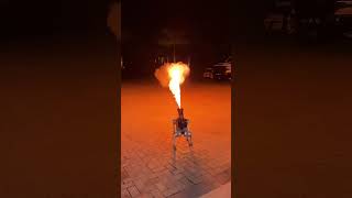 Testing My New W Flamethrower Robodog 😳 jakepaul [upl. by Ataymik868]