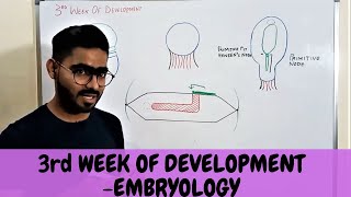 Third Week Of Human Development  GENERAL EMBRYOLOGY  urdu \ Hindi [upl. by Nairahcaz]