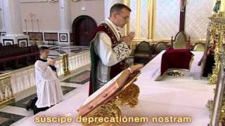 FSSP Video on Traditional Latin Mass Part 13 [upl. by Sezen]