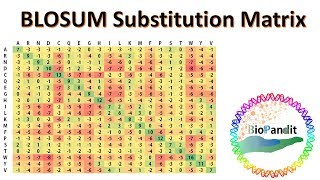 BLOSUM Substitution Matrix [upl. by Anis375]