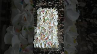 Tres leches cake ellorumsamaikalam food tamil treslechescake kuttyvlog57 [upl. by Aerahs889]