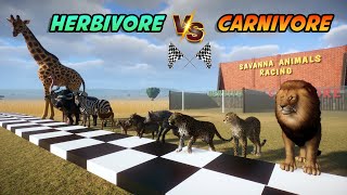 Carnivore VS Herbivore Savanna Animals Race in Flat Track included Lion Giraffe Ostrich amp Zebra [upl. by Assiren]