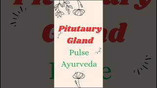 Pituitary Gland anatomy ayurveda biology bamsstudies shorts viralshorts bams [upl. by Itnahs]