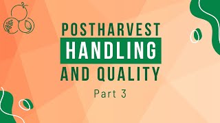 Postharvest Handling To Maintain Quality of Fresh Produce Part 3 [upl. by Marget]