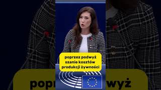 EWA ZAJĄCZKOWSKAHERNIK ZADAJE WAŻNE PYTANIA W PARLAMENCIE EUROPEJSKIM polityka konfederacja [upl. by Cornie]