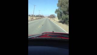 2001 Ford Lightning 720 RWHP 34l Whipple Supercharger test run 1 [upl. by Duffy]