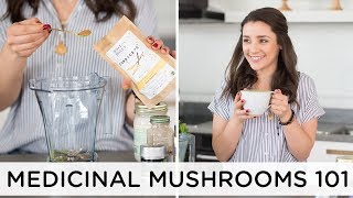 BENEFITS OF MEDICINAL MUSHROOMS 🍄 my top 4 favorites [upl. by Ainadi415]