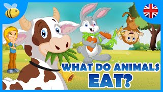 What do Carnivores Herbivores and Omnivores Animals Eat  Kids Videos [upl. by Rowe]