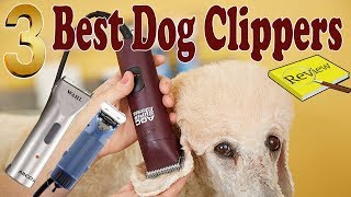 Best Dog Clippers Review  Best Dog Grooming Clippers [upl. by Netnilc269]