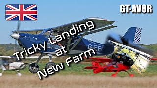 Tricky Aircraft Landing at New Farm Airfield  EuroFox 912is Taildragger [upl. by Kopple]