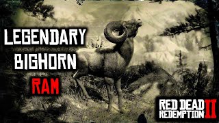 Legendary Bighorn RAM in RDR2 Location [upl. by Ainomar]