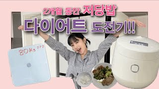 혈당 다이어트 도전기 저당밥으로 맛있게 다이어트하기 다이어트 다이어트식단 홈지오저당밥솥 저당밥 [upl. by Ecaroh636]