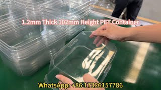 12mm Thick 102mm Height PET Container By HYX7161 Thermoforming Machine [upl. by Heyman]