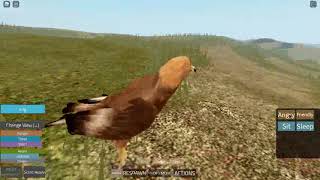 HOLOCENE Mobile Episode 14 Golden Eagle [upl. by Morty]