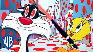 Looney Tunes en Español 🇪🇸  El puntero láser de Piolín  WB Kids [upl. by Sheeran322]