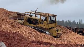 Caterpillar D9G pushing Wood Chips [upl. by Chellman]