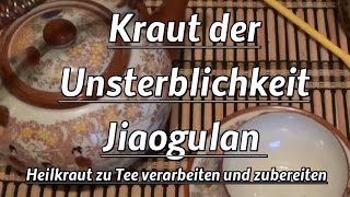 Kraut der Unsterblichkeit  Jiaogulan  Heilkraut zu Tee verarbeiten und zubereiten [upl. by Annoyik]