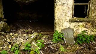 Very Old Irish Farm Co Tipperary Famine House [upl. by Aiblis]