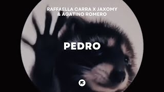 Jaxomy x Agatino Romero x Raffaella Carra  Pedro TikTok Raccoon Dance Song [upl. by Nagram241]