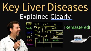 Diagnosis of Key Liver Diseases  Hepatitis A B C vs Alcoholic vs Ischemic AST vs ALT Labs [upl. by Glen368]