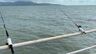 Fishing Townsville Rockpool Again [upl. by Areem]