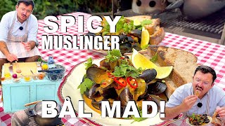 GOURMET MAD OVER BÅL TIL 30 kr pr person  SPICY MUSLINGER [upl. by Akemet939]