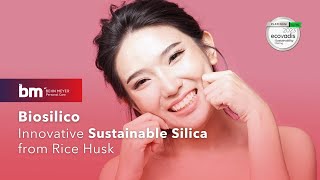 Biosilico Innovative Sustainable Silica from Rice Husk  Behn Meyer [upl. by Eimyaj]