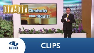 ¿Se dice junto a o junto con El profesor Cleóbulo te explica  Caracol TV [upl. by Stevena289]