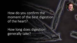 When digesting the heart for cardiomyocyte isolation how long does it usually take [upl. by Analed287]